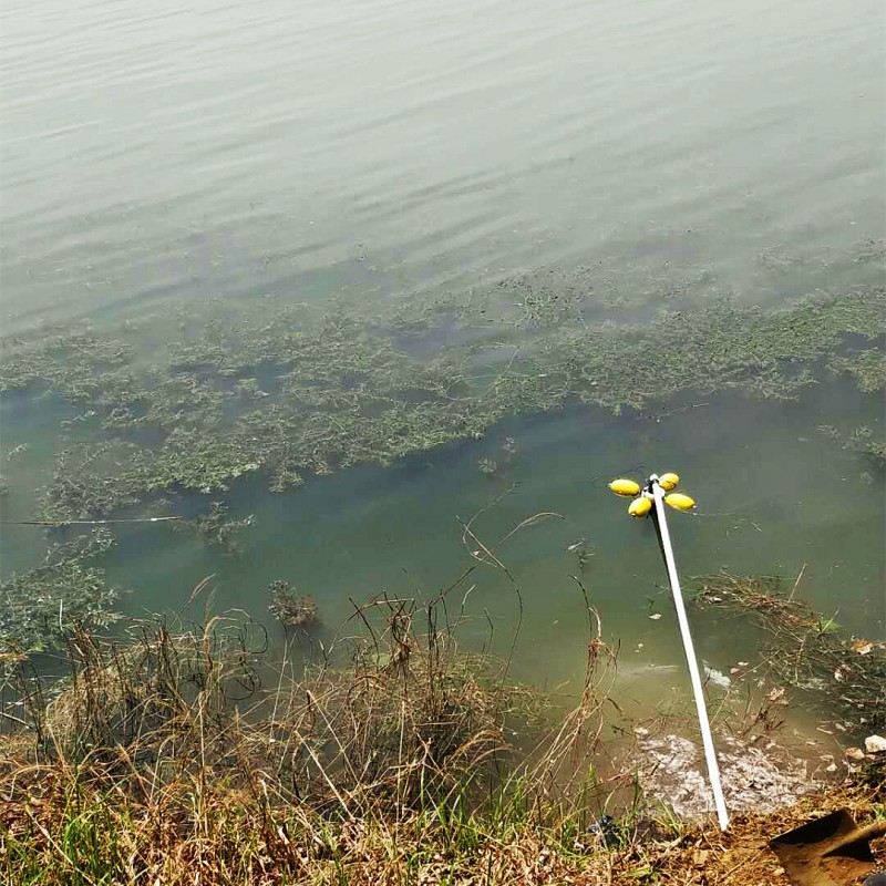 泰安市湿地公园水质监测系统落成！
